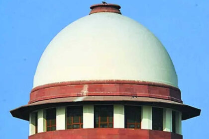 SC to examine plea to ease green-cracker ban