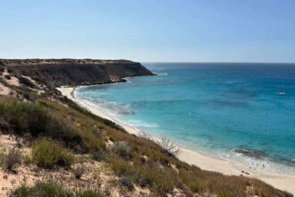 Scientists are introducing two truffle-eating marsupials to rebuild this Australian island destroyed by feral cats