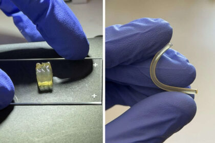 Scientists create human organs in space for the first time in a microgravity environment