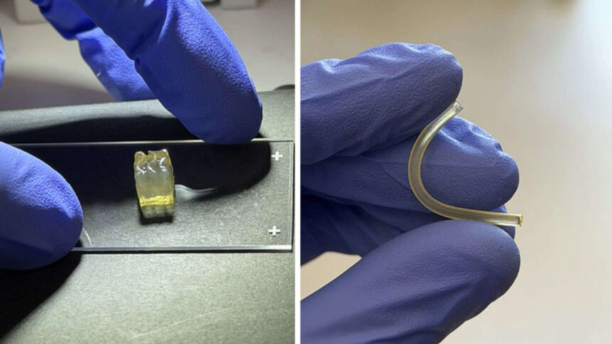 Scientists create human organs in space for the first time in a microgravity environment