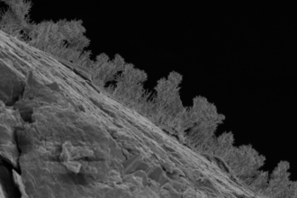 Scientists drilled 1,640 feet beneath Michigan and found 689 kinds of fungi living in water