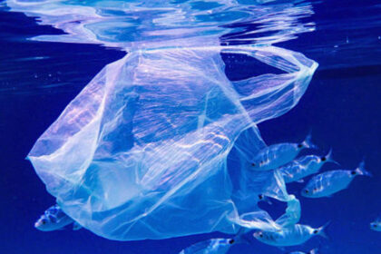 Scientists find microplastics in one of Earth's most isolated ecosystems: Indian Ocean hit hardest with up to 14.7 times more