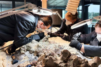Scientists found a 2,865-pound predator from before dinosaurs ruled Earth