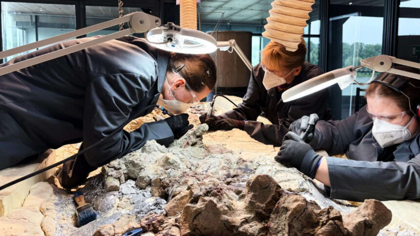 Scientists found a 2,865-pound predator from before dinosaurs ruled Earth