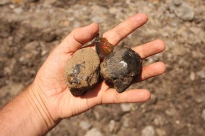 Scientists found South America’s first insect-bearing amber, a 112-million-year-old time capsule from a lost dinosaur-era f