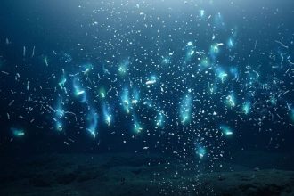 Scientists say crushing deep-ocean pressure squeezes hidden nutrients out of sinking marine snow, feeding microbes and changi