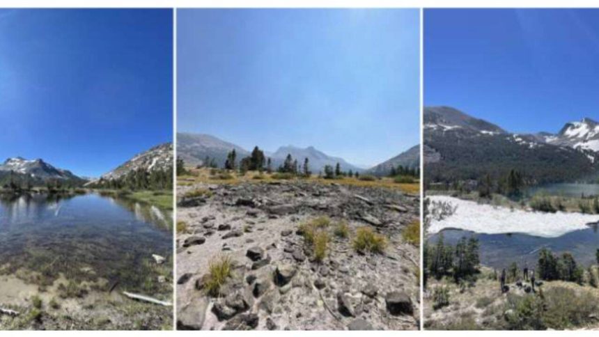 Scientists studied 30 Sierra Nevada ponds that can swing 20°C in a day. Shrinking snowpack may make them smaller, warmer and