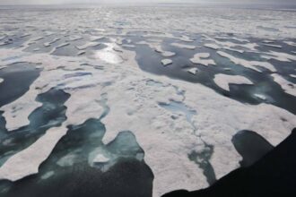 Scientists tried to thicken Arctic ice by pumping seawater onto it. The ice did become thicker and brighter, but there is a b