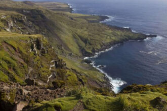 Six helicopters will drop 550 tons of poison on this island in the Indian Ocean: Why a project is spending $10 million on the