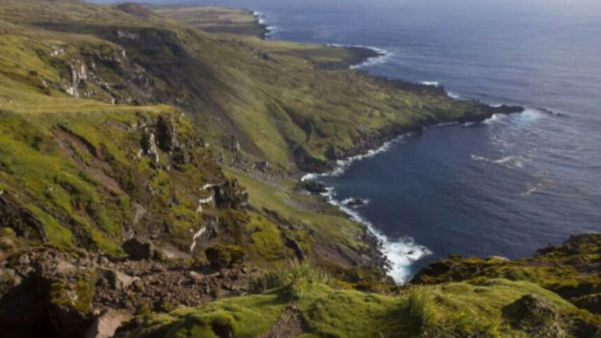 Six helicopters will drop 550 tons of poison on this island in the Indian Ocean: Why a project is spending $10 million on the