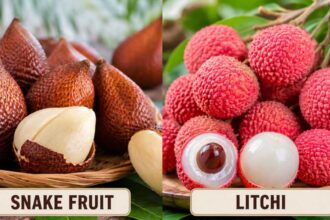 Snake fruit vs Litchi: How these tropical fruits differ in origin, taste, season and more