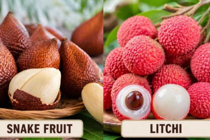 Snake fruit vs Litchi: How these tropical fruits differ in origin, taste, season and more