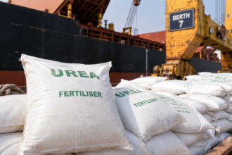 Stuck at ports: Why several fertiliser vessels are stranded at Indian ports during peak kharif sowing season