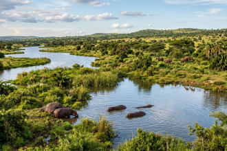 The Sahara Desert was once filled with rivers, giant lakes and hippos. Scientists explain why it turns green every 20,000 yea