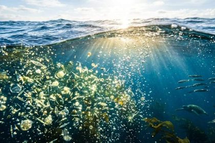 The world's biggest oxygen producer isn't the Amazon. It's the ocean filled with tiny invisible life