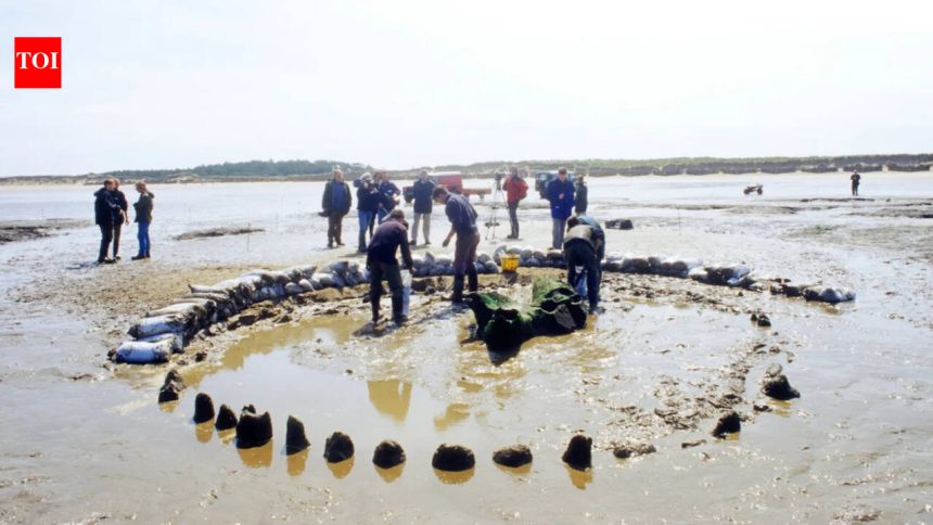 This 4,000-year-old wooden monument in England may have been built to ‘extend summer’, archaeologists say