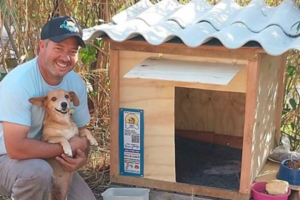 This Brazilian truck driver has built more than 1,700 wooden homes for stray dogs and cats, giving them shelter from rain and
