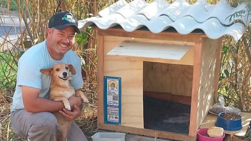 This Brazilian truck driver has built more than 1,700 wooden homes for stray dogs and cats, giving them shelter from rain and