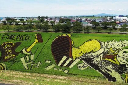 This Japanese village hides giant artworks in its rice fields: They only emerge every summer