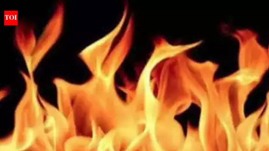 Truck carrying hay catches fire near Tiruchengode