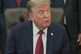 Trump slaps 10% tariff on India, no major impact seen