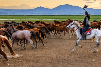 Turkey's Cappadocia region was home to free-roaming horses, then local cowboys began gathering them for guided photo tours, t