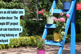 Turn an old ladder into garden decor: The simple DIY project that can transform a boring balcony or backyard