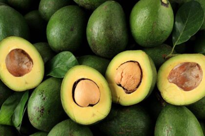 U.S. avocado imports cut chemical use, reduce nitrogen pollution by 10%