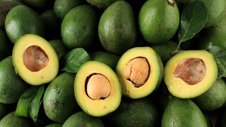 U.S. avocado imports cut chemical use, reduce nitrogen pollution by 10%