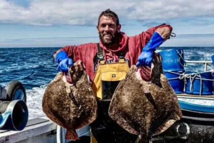 Warming seas are bringing octopus, red mullet and bream into UK waters