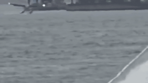 Watch: Seaplane carrying eight crash lands in New York's East River