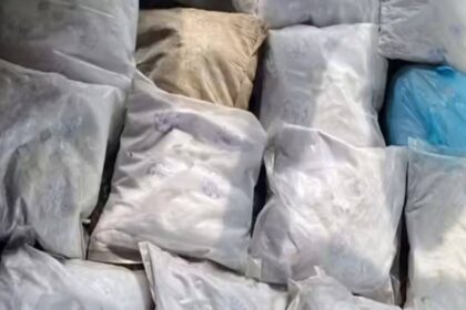 'Were to be paid $5,000-$10,000': Texas couple, 80 and 74, arrested after 345-pound cocaine bust at border