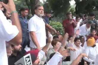 'Where are our leaders being taken?': Congress demands Rahul, Priyanka's whereabouts after detention