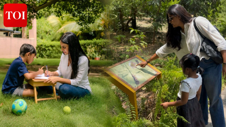 Why are some Indian parents saying no to conventional schools? Meet the families choosing homeschooling and other alternative