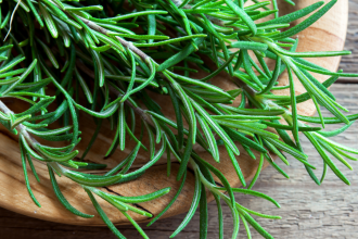 Why rosemary dies in many Indian homes, and the simple changes that can help this fragrant herb flourish instead