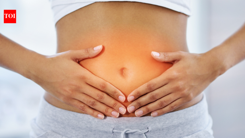 Why the gut behaves as your second brain