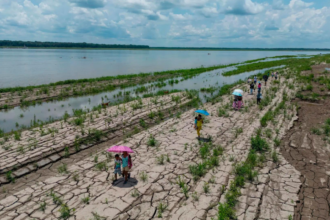 WMO warns of rapid El Nino development during July-September