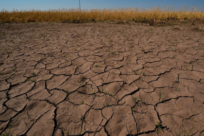 WMO warns rapid development of El Nino during July-Sept; government reviews the situation of rainfall deficit