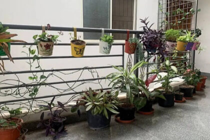 Your balcony railing is wasted space: 5 DIY ways to turn it into a vertical garden
