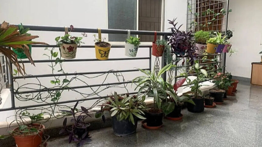 Your balcony railing is wasted space: 5 DIY ways to turn it into a vertical garden