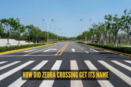You've crossed it countless times, but do you know why it's called a zebra crossing?