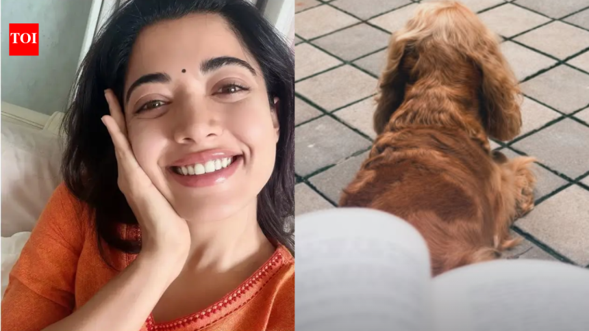 After ‘Mysaa’ hip injury, Rashmika Mandanna says, ‘My days are all about sleeping, recovery and family’