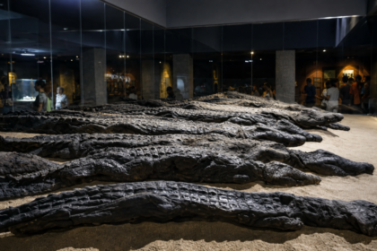 Ancient Egyptians mummified thousands of crocodiles at Kom Ombo. Modern DNA has finally revealed where the sacred reptiles ca