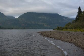 B.C. restores 70 hectares as Cowichan marsh faces 60% loss by 2100
