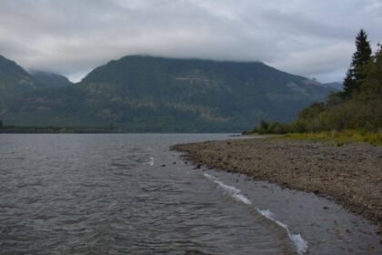 B.C. restores 70 hectares as Cowichan marsh faces 60% loss by 2100
