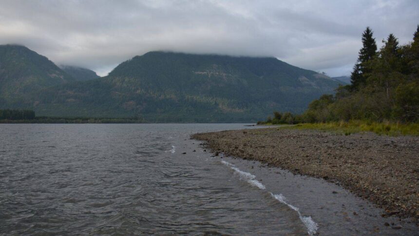 B.C. restores 70 hectares as Cowichan marsh faces 60% loss by 2100