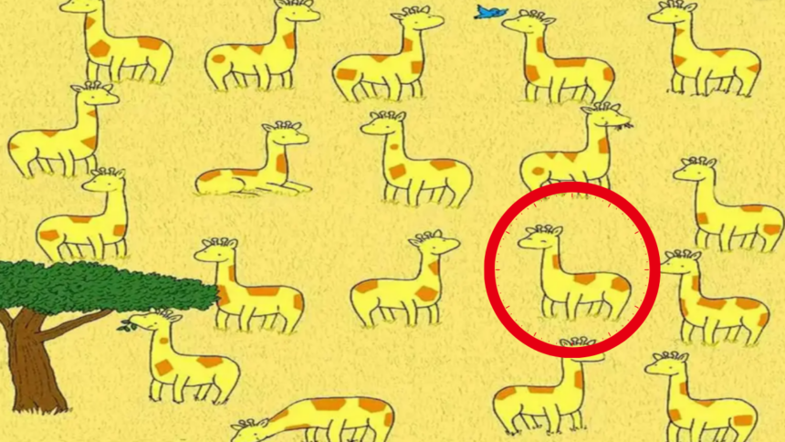Brain teaser: Only sharp eyes can spot 1 out of 20 giraffes without a twin in 10 seconds in this safari landscape