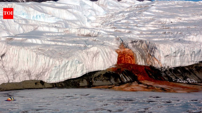 Hidden beneath Antarctic ice, a red brine pool contains marine microbial DNA, supporting evidence of an ancient seawater rese