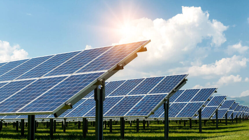 How 832 solar panels help one farm produce food, energy and extra income