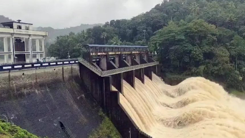 'Kerala stands united': Rahul Gandhi offers support as rains claim 8 lives, leave 8 missing